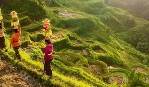 Ini Rekomendasi 5 Tempat Wisata Favorit di Ubud Bali yang Lokasinya Berdekatan