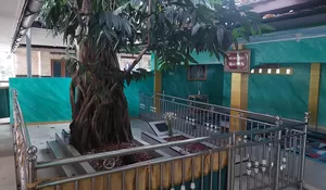 Menguak Sejarah Kampung Kebayunan Tapos Depok, Perjuangan Embah Bayun Menyebarkan Islam : Bagian 1