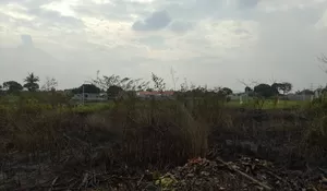 Lahan Kosong  di Perumahan Permata Cimanggis  Depok Kebakaran 