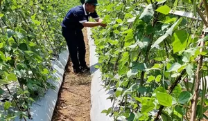 Aqua Gandeng Petani Merawat Alam