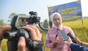 Pemkab Purwakarta Siapkan 2.425 Hektare Lahan Sawah Beras Nutri Zinc, Varietas Baik untuk Penderita Stunting