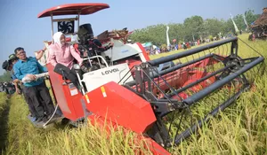 Surplus Panen, Bupati Purwakarta Akui Masih Ada Kelemahan Perputaran Hasil Padi