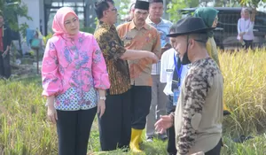 Panen 7 Ribu Ton Beras, Kabupaten Purwakarta Jadi Andalan Penghasil Padi Nutri Zinc untuk Cegah Stunting