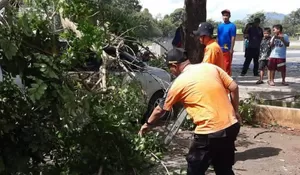 3 Mobil di Subang Ringsek Usai Tertimpa Pohon Tumbang