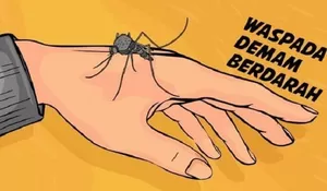Selama 2022, Delapan Orang Meninggal Akibat DBD di Cianjur