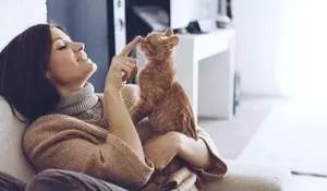 Waspadai Jamur Ringworm, Dari Kucing Bisa Menular ke Manusia