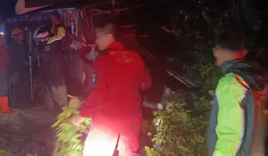 Diterjang Hujan, Pohon Tumbang di 2 Lokasi Ini