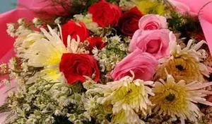 5 Rekomendasi Hadiah Untuk Guru