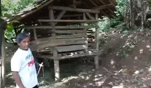 9 Ekor Kambing di Cisolok Raib Digondol Maling