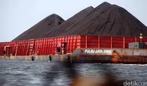 Harga Batu Bara Naik ke US$ 66/Ton,Permintaan Melonjak