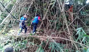 Damkar Berangus Sarang Ular Berbisa