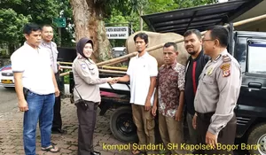 3 Kerbau Diamankan Polsek Bobar