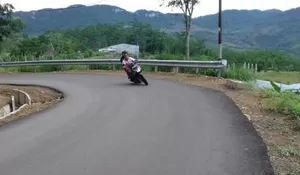 Ada Jalan Pintas ke Puncak Bebas Macet, Ini Jalurnya