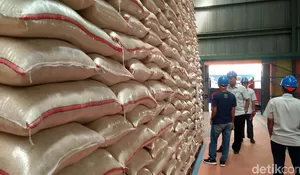 Sah! 20.000 Ton Beras Bulog yang Bakal Busuk Laku Rp 23,8 M