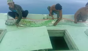 Kisah Penangkap Ikan yang Diviralkan Jadi Tanda Kegempaan