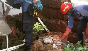 Camat Bojonggede Fogging 'Sarang Kobra'