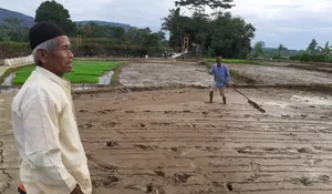 54 Hektare Sawah Terancam Kekeringan