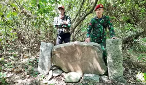 Banyak Binatang dan Tumbuhan Langka