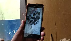 Bocah di Bandung Tewas Digigit Ular Weling Pemberian Orang Tak Dikenal