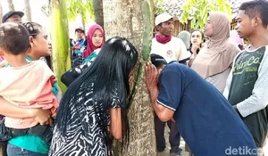 Ini Penjelasan Ilmiah Soal Pohon di Jember Keluarkan Suara Mirip Orang Menangis