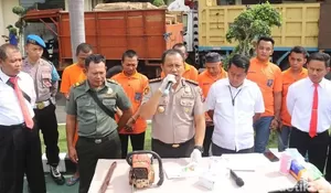 Enam Pembalak Liar Ditangkap, 43 Batang Kayu Jati Gelondongan Diamankan