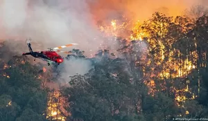 #PrayForAustralia, Dahsyatnya Kebakaran Hutan di Australia