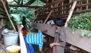 BUMDes Pandansari Belum Bisa Diandalkan