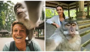 4 Tempat Wisata di Bali yang Sempat Viral, Coba Selfie dengan Monyet di Ubud