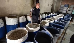 KUR BNI Kembangkan Usaha Petani Bogor