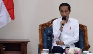 Herannya Jokowi Luas Hutan Terbakar Bertambah: Jangan Seperti Australia