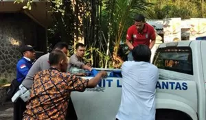 Dua Kendaraan Adu Banteng di Dekat Istagor