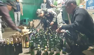 300 Miras Oplosan Diangkut Petugas Gabungan