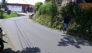 Tumbuhan Liar di Jalan Cigombong Bahayakan Pengendara