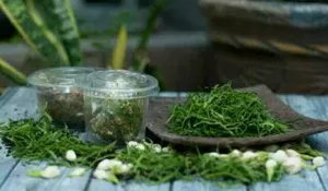 Penjual Bunga Rampe Tetap Berjualan