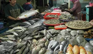 Pekan Kedua Ramadan, Harga Ikan Melonjak