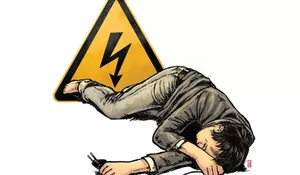 Dua Pegawai Ternak Ayam Tewas Disengat Listrik