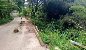 TPT Desa Tenjo Ayu Ambruk, Komisi II DPRD Angkat Bicara