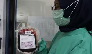 Permintaan Kantong Darah Meningkat