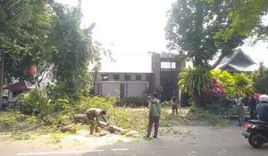 Antisipasi Bencana, Disperumkim Gencarkan Pemeliharaan Pohon di Jalan Protokol Kota Bogor