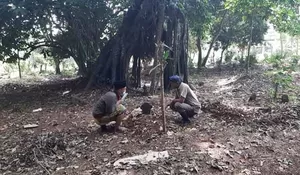 Gempar! Warga Desa Gorowong Temukan Makam Kuno
