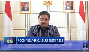 Menko Airlangga: Program Sektor Pertanian Terus Berjalan, Kuatkan Ketahanan Pangan dan Sejahterakan Petani