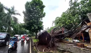 Porak-poranda dalam Sekejap!