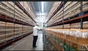 Lanjutkan Arahan Presiden, Mendag Sidak Ke Pabrik Migor Pastikan Stok Aman