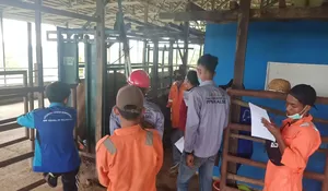 Dongkrak Potensi Petani Milenial d Kalsel, Kementan Siapkan Tempat Magang