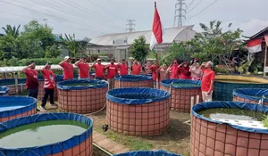 Hormat Bendera 'Merah-Putih' di Kolam Lele
