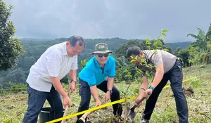 Peringati HUT Korpri sambil Jaga Sumber Mata Air Megamendung, ASN Tanam Ratusan Bibit Pohon