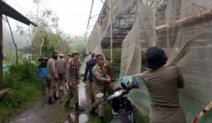 Nggak Berizin, Vila hingga Green House di Puncak Bogor Diberangus Satpol PP