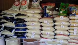 Achmad Sazali: Petani akan Terpukul dengan Beras Impor yang Datang