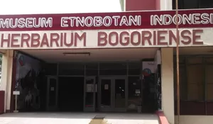 Tambah Ilmu di Museum Etnobotani Indonesia, Koleksinya di kota Bogor Sangat Lengkap