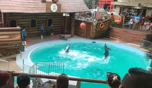 Promo Taman Safari Bogor, Harga Tiket Lebih Murah, Berlaku hingga 31 Oktober